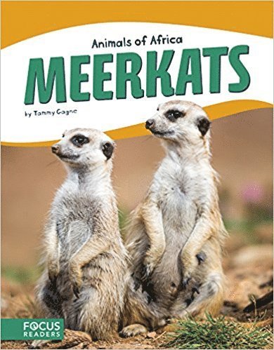 Tammy Gagne - Meerkats, Inbunden