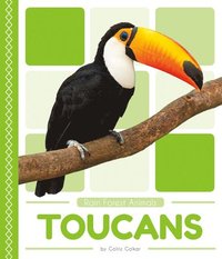 bokomslag Toucans