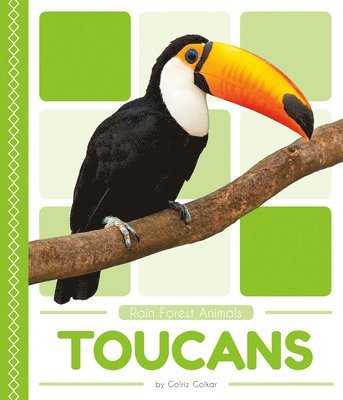 Toucans 1