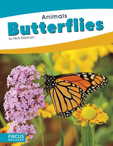 Nick Rebman - Butterflies, Inbunden