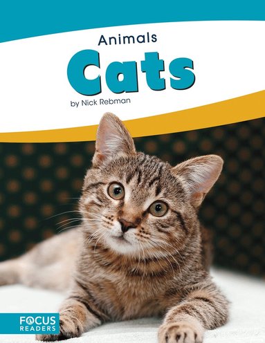 Nick Rebman - Cats, Inbunden