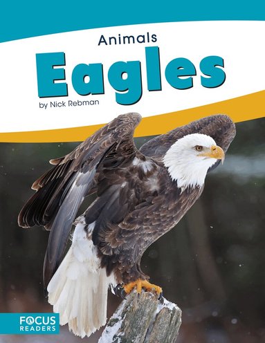 Nick Rebman - Eagles, Inbunden