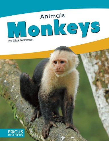 Nick Rebman - Monkeys, Inbunden