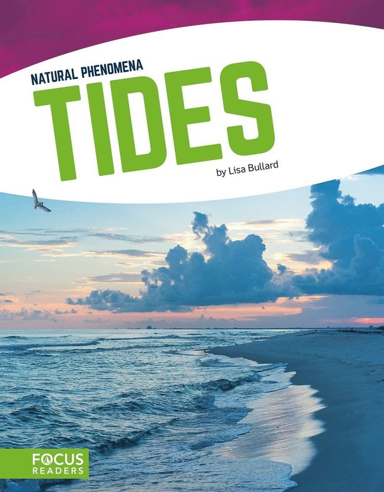 Lisa Bullard - Tides, Inbunden