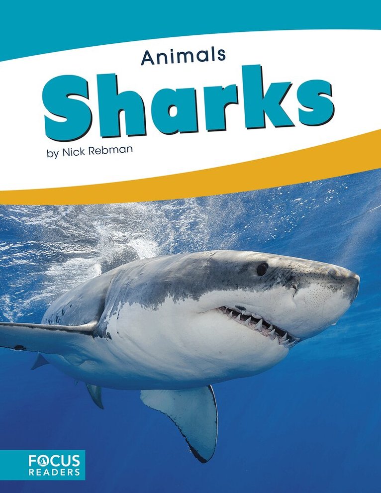 Nick Rebman - Sharks, Häftad