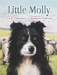 bokomslag Little Molly
