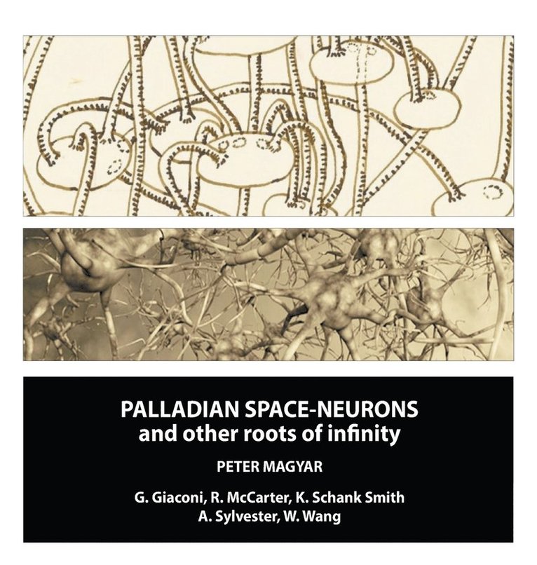 Palladian Space-Neurons and other Roots of Infinity 1