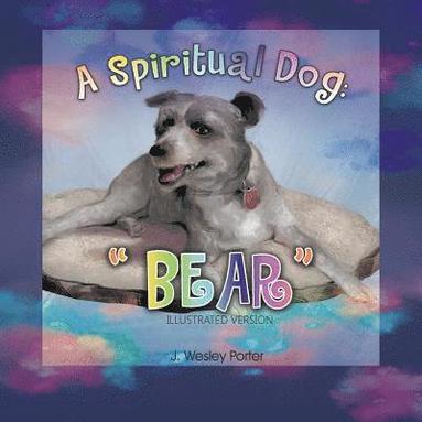 bokomslag Spiritual Dog
