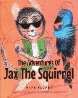 bokomslag The Adventures Of Jax The Squirrel