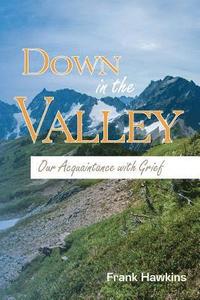 bokomslag Down in the Valley: Our Acquaintance with Grief