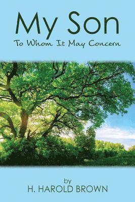 H. Harold Brown - My Son: To Whom It May Concern, Häftad