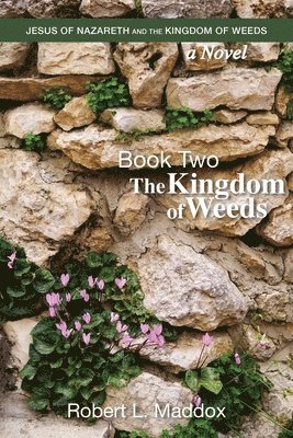 bokomslag Jesus of Nazareth and the Kingdom of Weeds: Book Two: The Kingdom of Weeds