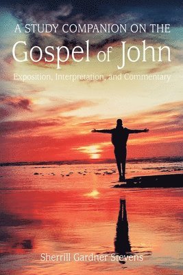 Sherrill G. Stevens - A Study Companion on the Gospel of John: 978-1-63528-116-3, Häftad