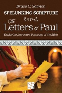 bokomslag The Letters of Paul: Exploring Important Passages of the Bible