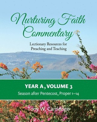 bokomslag Nurturing Faith Commentary, Year A, Volume 3: Lectionary Resources for Preaching and Teaching-Season after Pentecost: Proper 1-14