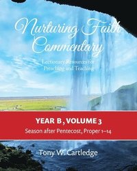 bokomslag Nurturing Faith Commentary, Year B, Volume 3
