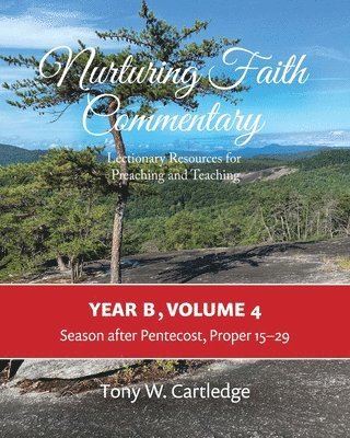 bokomslag Nurturing Faith Commentary, Year B, Volume 4