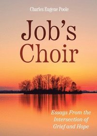 bokomslag Job's Choir