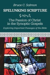 bokomslag The Passion of Christ in the Synoptic Gospels