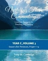 bokomslag Nurturing Faith Commentary, Year C, Volume 3