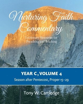bokomslag Nurturing Faith Commentary, Year C, Volume 4