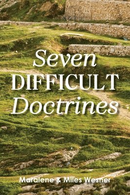 bokomslag Seven Difficult Doctrines
