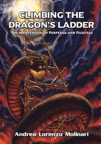 bokomslag Climbing the Dragon's Ladder