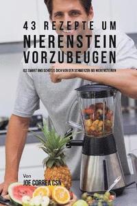 bokomslag 43 Rezepte um Nierenstein vorzubeugen