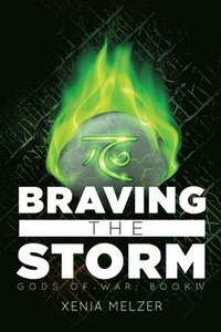 bokomslag Braving the Storm