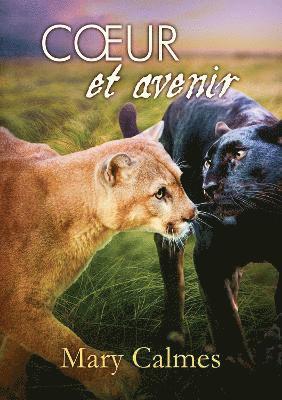 Mary Calmes - Cœur et avenir, Häftad