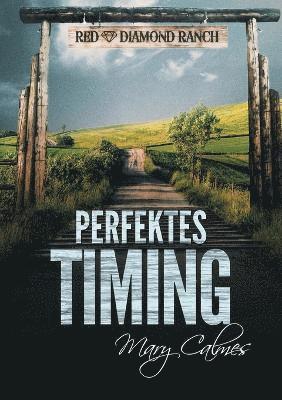 bokomslag Perfektes Timing (Translation)