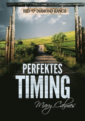 Mary Calmes - Perfektes Timing (Translation), Häftad