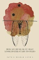 Alysia Nicole Harris, Harris Alysia  Nicole Harris, Alysia  Nicole Harris - How Much We Must Have Looked Like Stars To Stars, Häftad