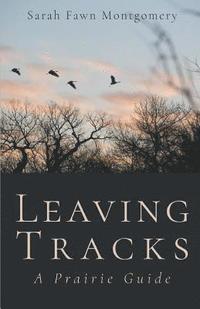 bokomslag Leaving Tracks
