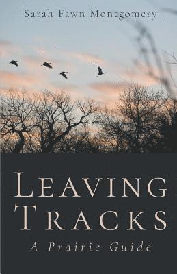 Leaving Tracks 1