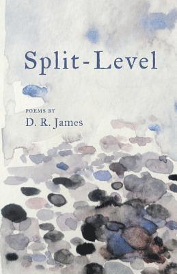 Split-Level 1