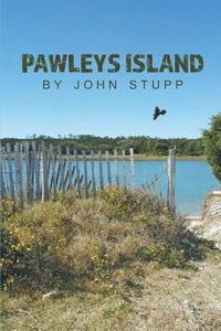 bokomslag Pawleys Island