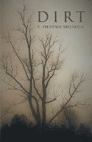 Dirt