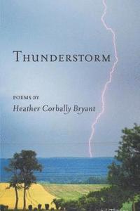 bokomslag Thunderstorm