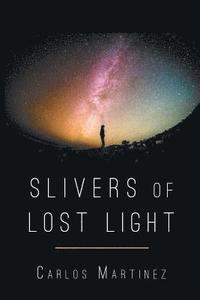 bokomslag Sliver of Lost Light