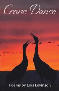 bokomslag Crane Dance
