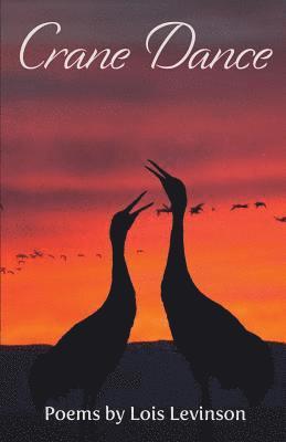 bokomslag Crane Dance