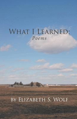 bokomslag What I Learned