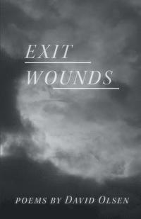 bokomslag Exit Wounds