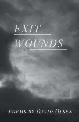 David Olsen - Exit Wounds, Häftad