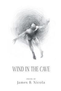 bokomslag Wind in the Cave