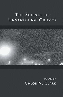 The Science of Unvanishing Objects 1