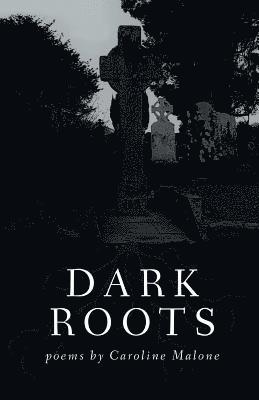 bokomslag Dark Roots