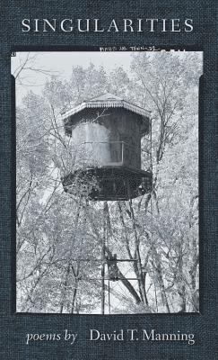 David Manning - Singularities, Inbunden