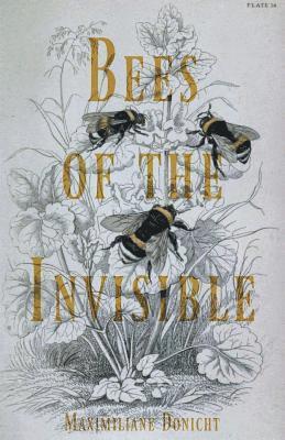 bokomslag Bees of the Invisible